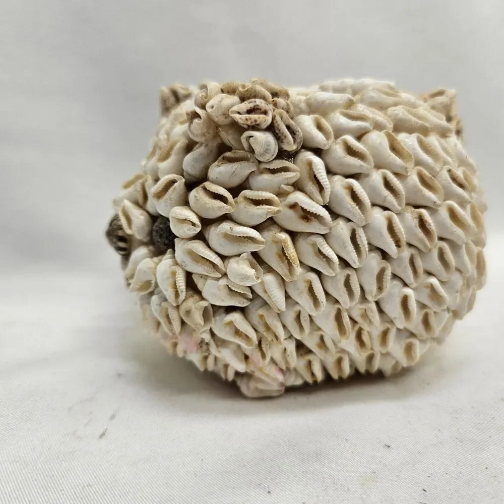 Vintage Sea Shell Pig Piggy Bank Coin‎ Bank